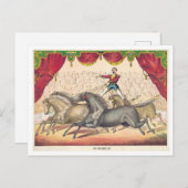  Circus Poster voor Paard Act Briefkaart (Voorkant / Achterkant)