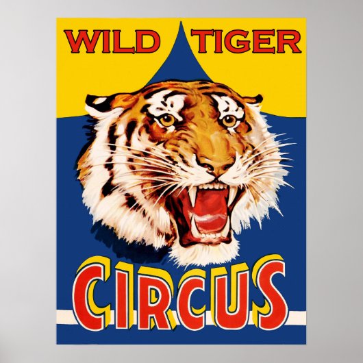 Circus show, wilde tijger, vintage poster (Voorkant)