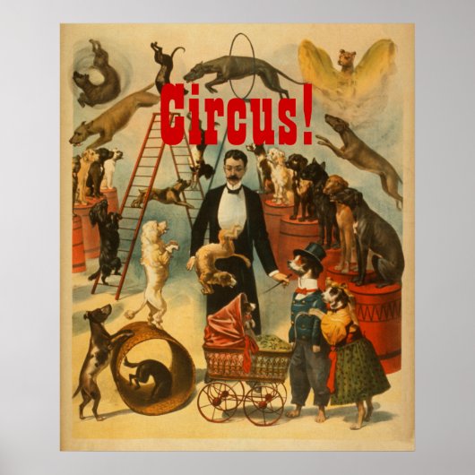 Circus! - Theater Poster #1 (Voorkant)