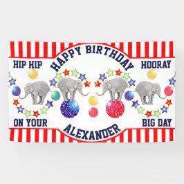 Circus Theme Elephant Birthday Party Spandoek