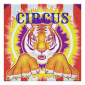 Circus Tiger 20x20 Poster (Voorkant)