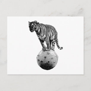 Circus Tiger Gifts Briefkaart