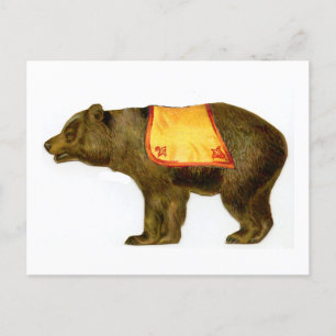  circus uitvoeren beer briefkaart