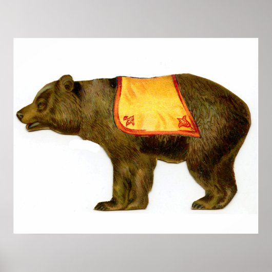  circus uitvoeren beer poster (Voorkant)