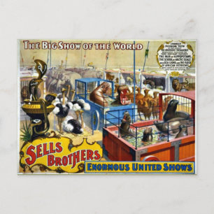 Circus - Verkoop Brothers Circus Briefkaart