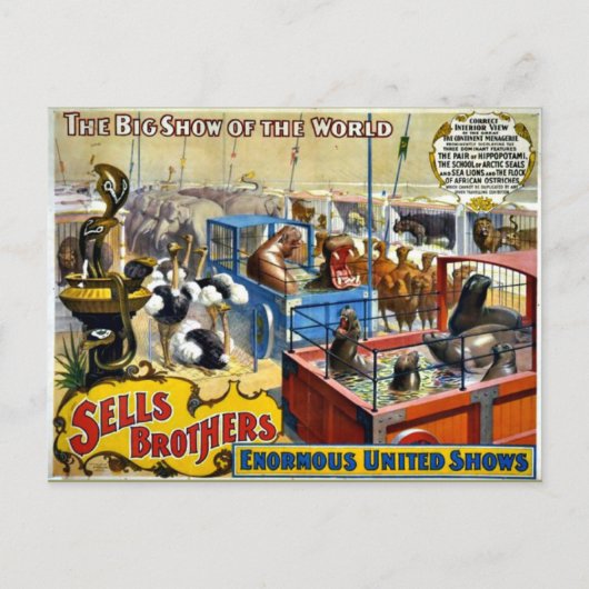  Circus - Verkoop Brothers Circus Briefkaart (Voorkant)