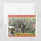 Circusdieren van olifanten en Posters in kooien Briefkaart (Voorkant / Achterkant)