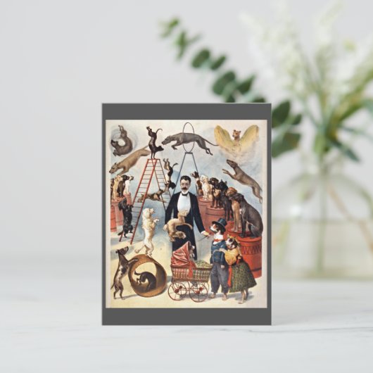 Circushonden,  illustratie, briefkaart (Staand voorkant)