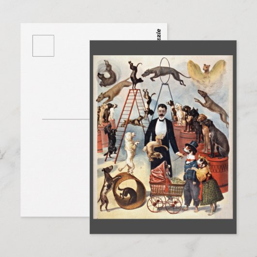 Circushonden, illustratie, briefkaart (Voorkant / Achterkant)