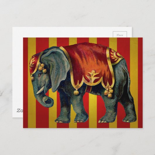 circusolifant briefkaart (Voorkant / Achterkant)