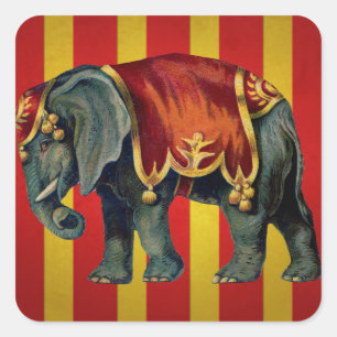 circusolifant vierkante sticker