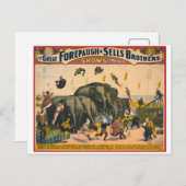  circusolifanten acrobaten Forepaugh & Sell Briefkaart (Voorkant / Achterkant)
