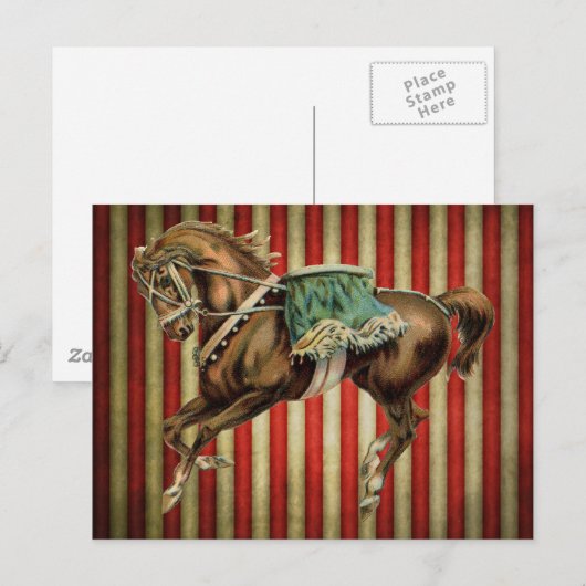  circuspaard briefkaart (Voorkant / Achterkant)