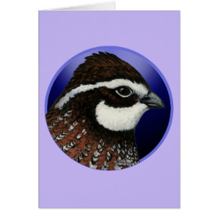 Cirkel Bobwhite Quail Head