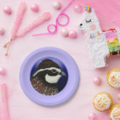 Cirkel Bobwhite Quail Head Papieren Bordje (Feest)