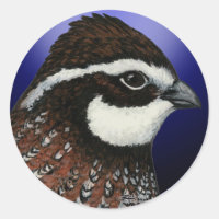 Cirkel Bobwhite Quail Head