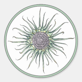 Cirkel en draaibloem Ronde Sticker