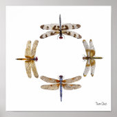 CIRKEL VAN DRAGONFLIES POSTER (Voorkant)