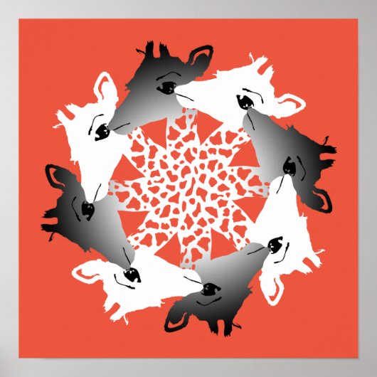cirkel van giraffen poster (Voorkant)