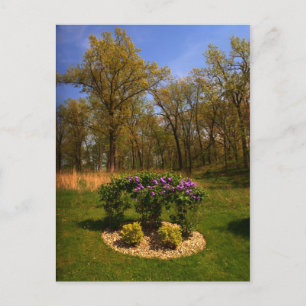 Cirkel van het Briefkaart van de schoonheid