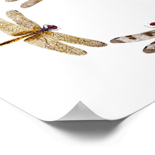 Cirkel van libellen Poster III (Hoek)