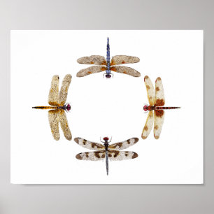 Cirkel van libellen Poster III