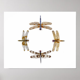 Cirkel van libellen Poster III