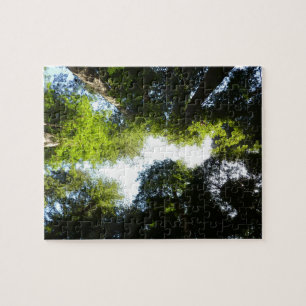 Cirkel van Redwoodbomen in Redwood National Park Legpuzzel