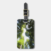 Cirkel van roodbaarzen in het nationale park Redwo Bagagelabel (Voorkant verticaal)