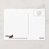 Cirkel van roodbaarzen in het nationale park Redwo Briefkaart (Achterkant)