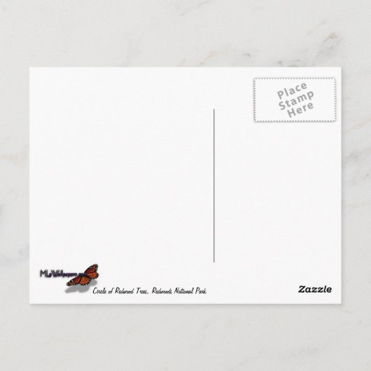 Cirkel van roodbaarzen in het nationale park Redwo Briefkaart (Achterkant)