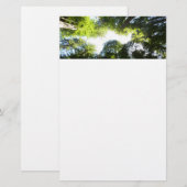 Cirkel van roodbaarzen in het nationale park Redwo Briefpapier (Voorkant / Achterkant)