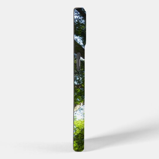 Cirkel van roodbaarzen in het nationale park Redwo Case-Mate iPhone Case (Achterkant / Rechts)