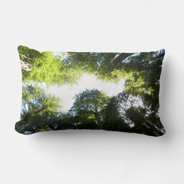 Cirkel van roodbaarzen in het nationale park Redwo Kussen (Voorkant)