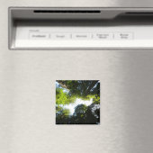 Cirkel van roodbaarzen in het nationale park Redwo Magneet (Insitu (Vaatwasser))