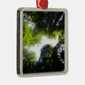 Cirkel van roodbaarzen in het nationale park Redwo Metalen Ornament (Rechts)