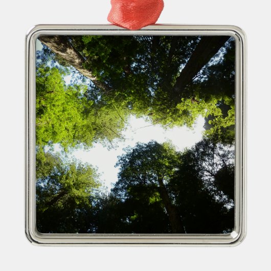 Cirkel van roodbaarzen in het nationale park Redwo Metalen Ornament (Voorkant)