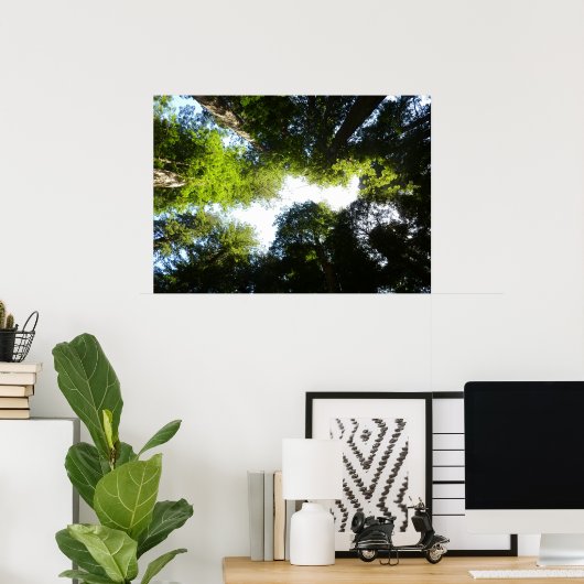 Cirkel van roodbaarzen in het nationale park Redwo Poster (Thuiskantoor)