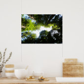 Cirkel van roodbaarzen in het nationale park Redwo Poster (Keuken)