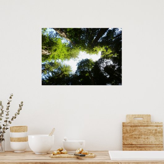 Cirkel van roodbaarzen in het nationale park Redwo Poster (Keuken)