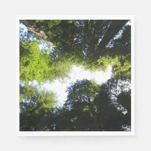 Cirkel van roodbaarzen in het nationale park Redwo Servet (Voorkant)