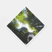 Cirkel van roodbaarzen in het nationale park Redwo Servet (Hoek)