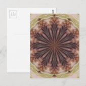 Cirkel van veren briefkaart (Voorkant / Achterkant)