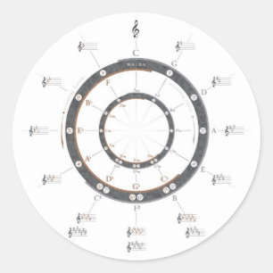 Cirkel van vijf ronde sticker