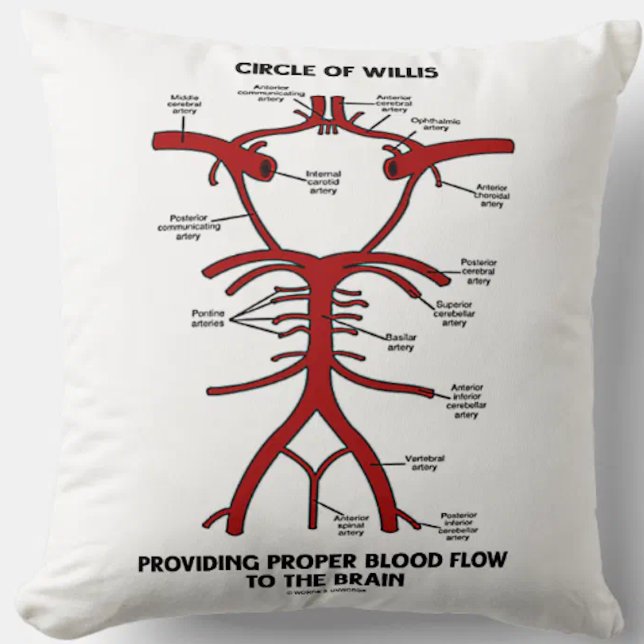 Cirkel van Willis die zorgt voor een goede bloeddo Kussen (Throw pillow featuring Circle of Willis diagram, complete with labels of all key arteries)