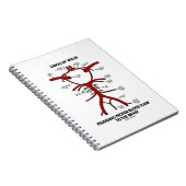 Cirkel van Willis die zorgt voor een goede bloeddo Notitieboek (Rechterzijde)