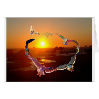 Cirkel van zeegarenden