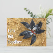 Cirkel van Zwart & Wit Kippen Eten Watermeloen Kaart (Staand voorkant)