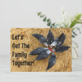 Cirkel van Zwart & Wit Kippen Eten Watermeloen Kaart (Staand voorkant)