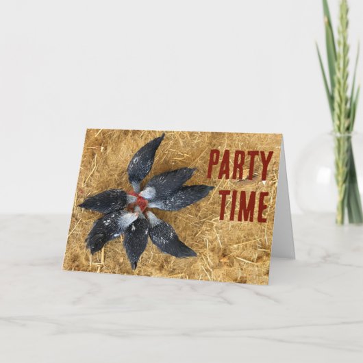 Cirkel van Zwart & Wit Kippen Eten Watermeloen Kaart (Voorkant)